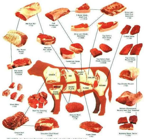 Diagram Of Cuts Of Beef On A Steer
