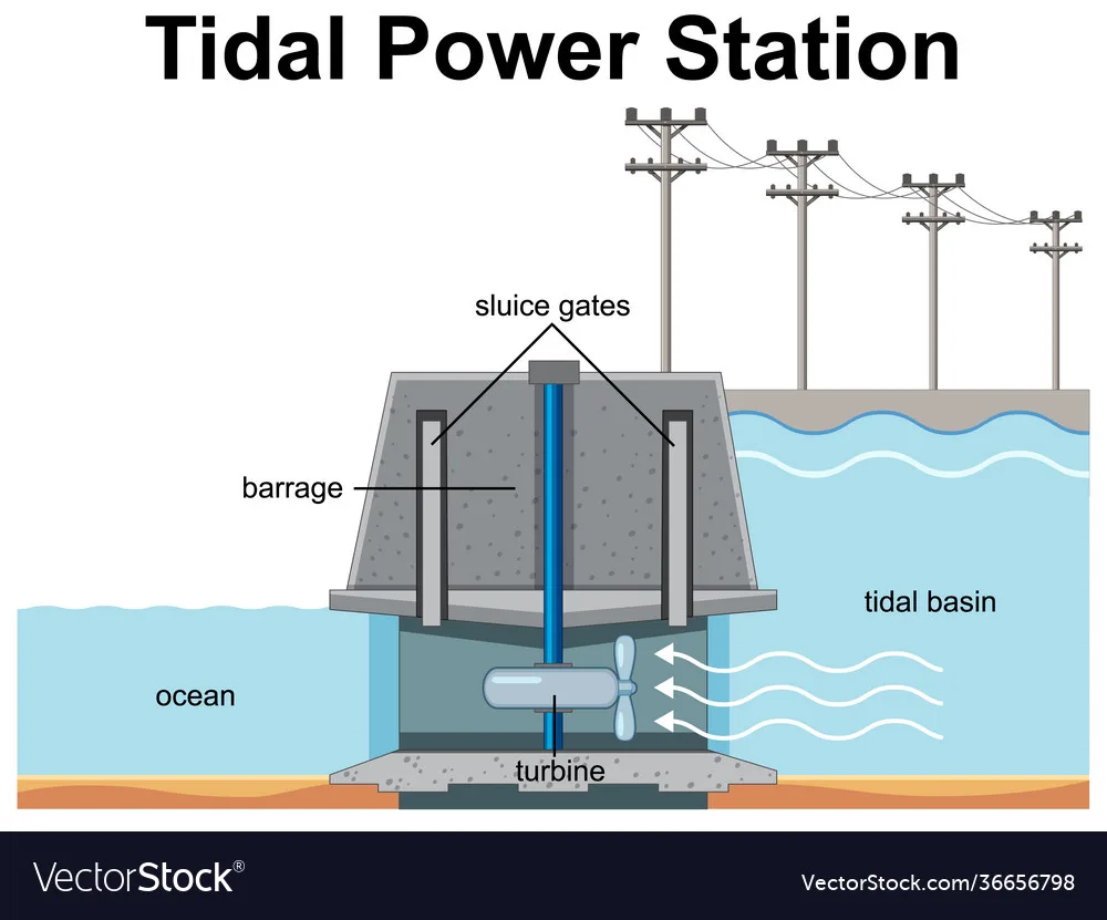 Diagram Of How Tidal Power Stations Work Tidal Energy Diagra