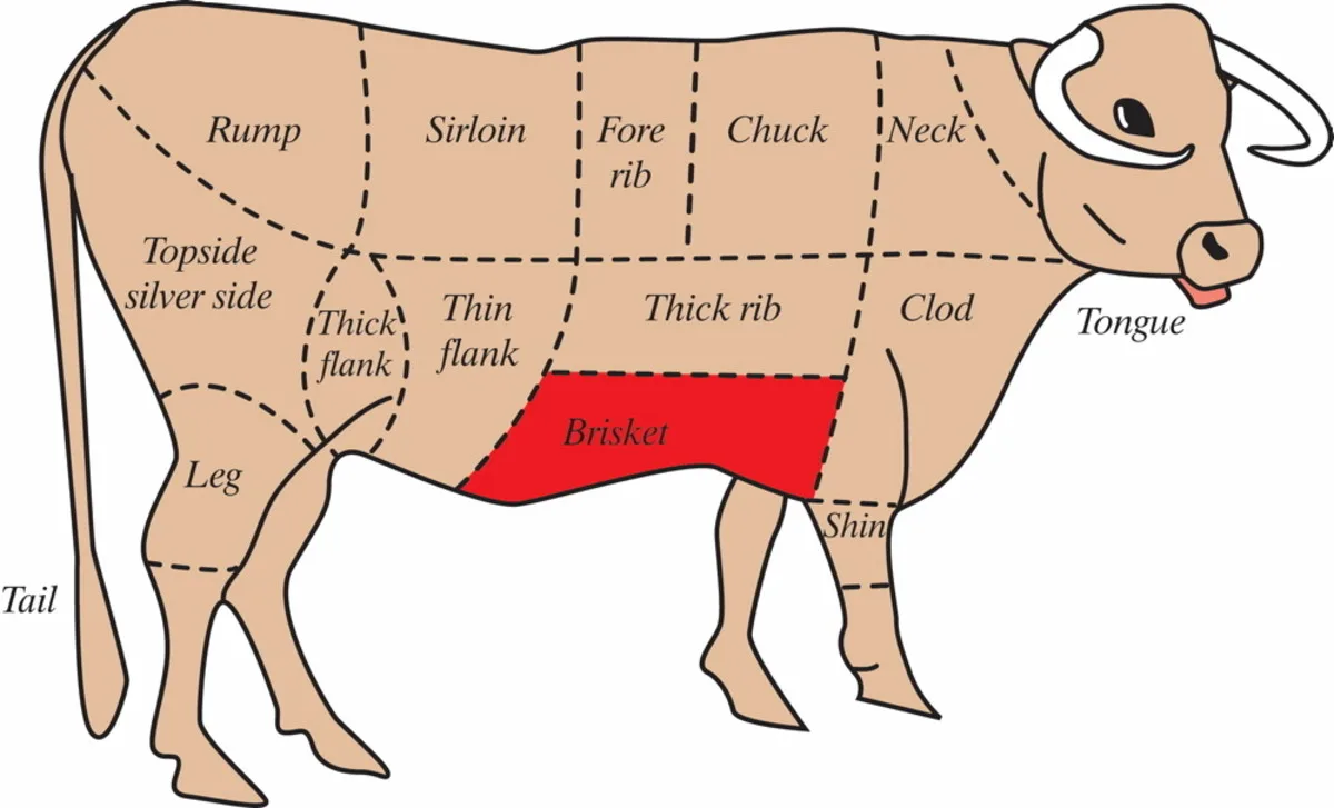 Diagram Of How To Butcher A Beef Cow Hubpages