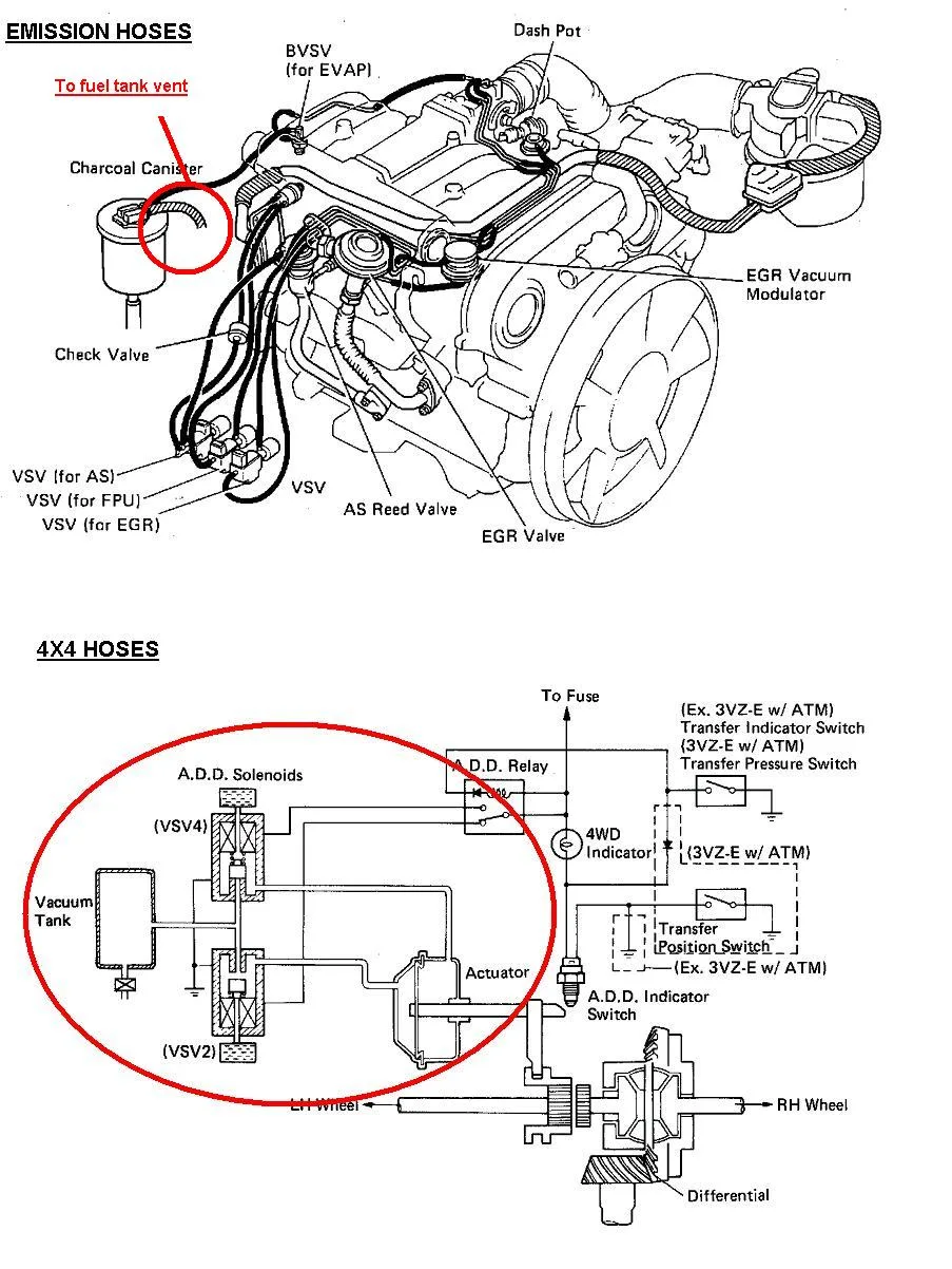 Diagram Oil Cooler Diagram Toyota 3 0 Engine Diagram