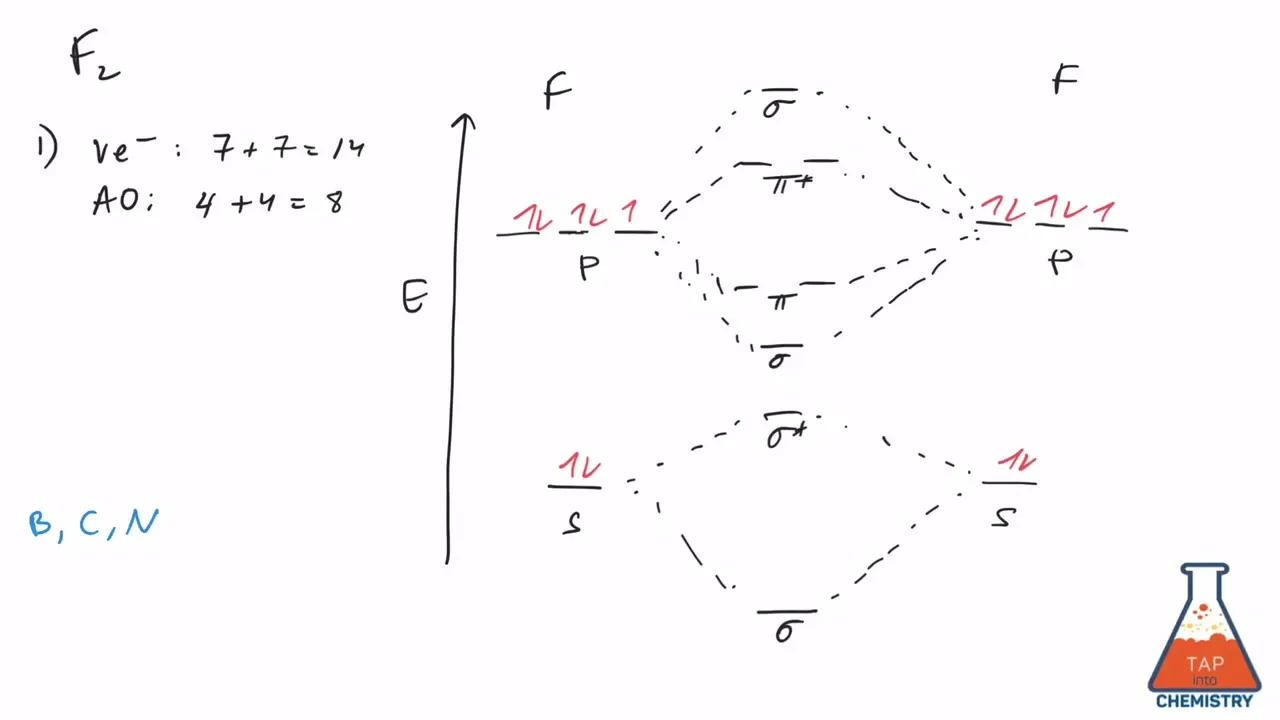 Diagram Telophase 2 Diagram