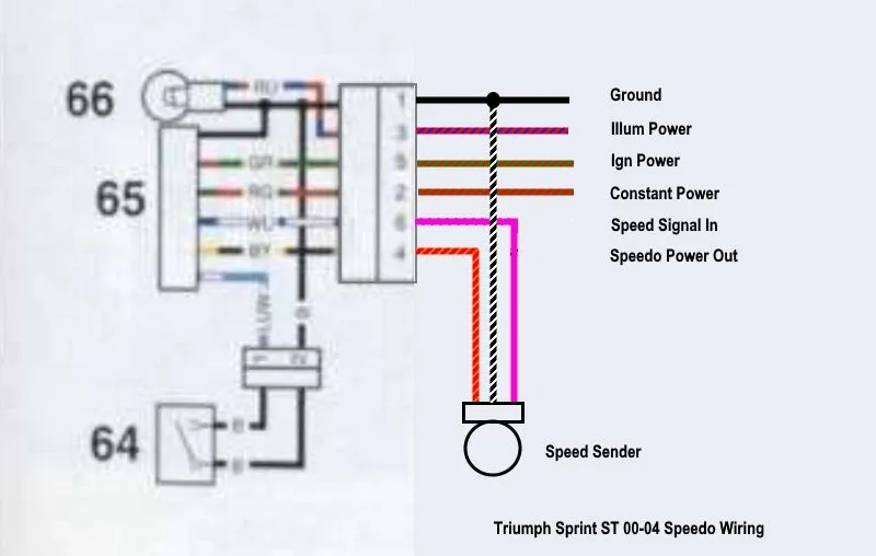 Diagram Triumph Daytona 955I Wiring Diagrams