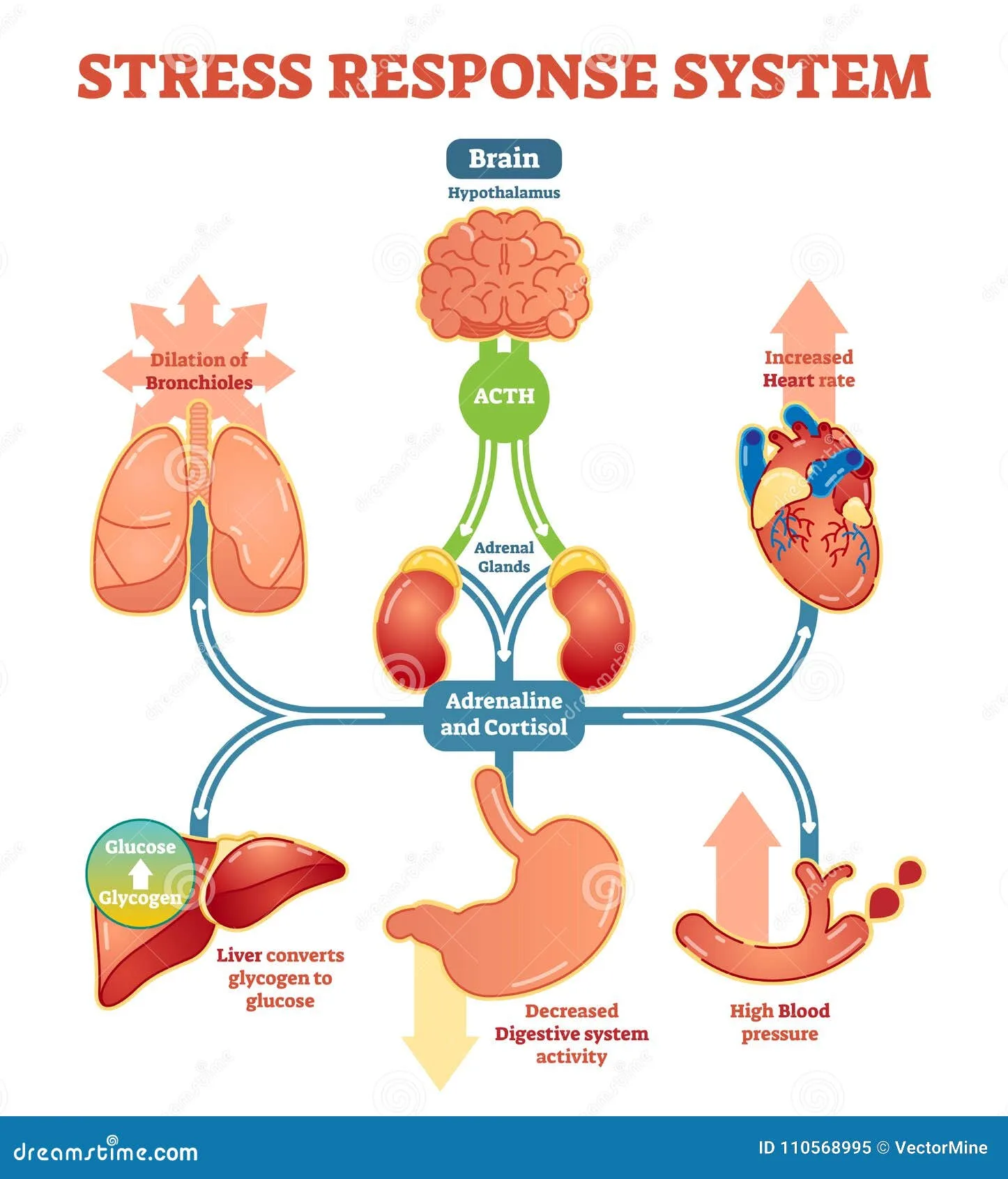 Diagram Truss Stress Diagram