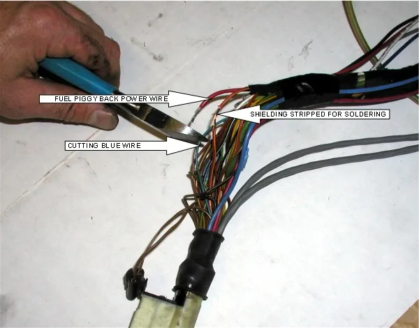 Diagram Unichip Performance Piggy Back Relaunched Wiring Diagram