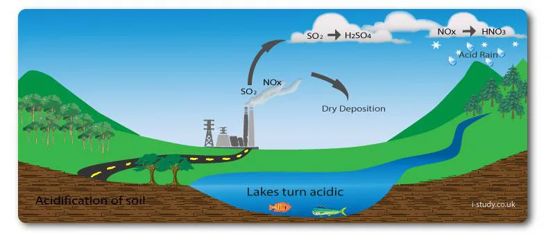 Diagram Water Acid Rain Diagram