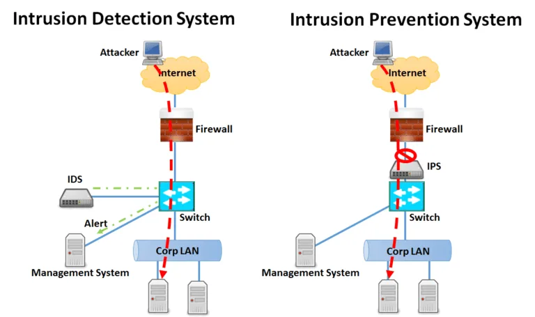 Diagram Wireless Home Network Diagram Ids