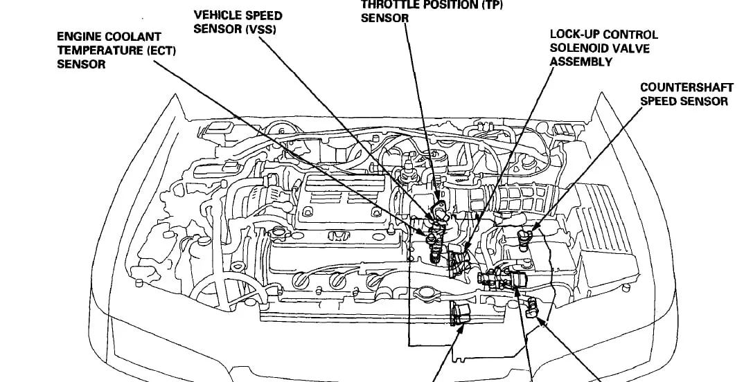 Diagram Wiring Diagram Honda Civic 2009 Portugues