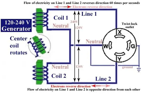 Diagram Wiring Diagrams Generator Plug Recepticle