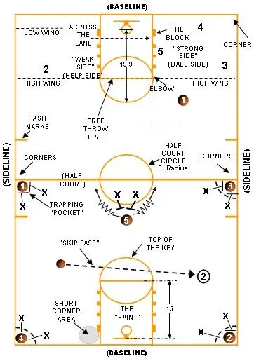 Diagram Youth Basketball Defense Positions Diagram
