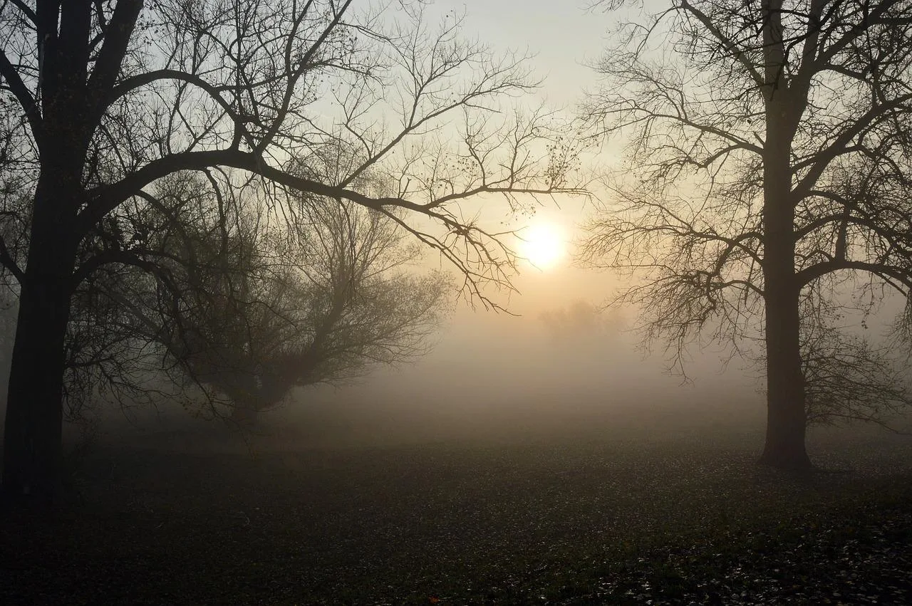 Different Types Of Fog Fog Formation Types