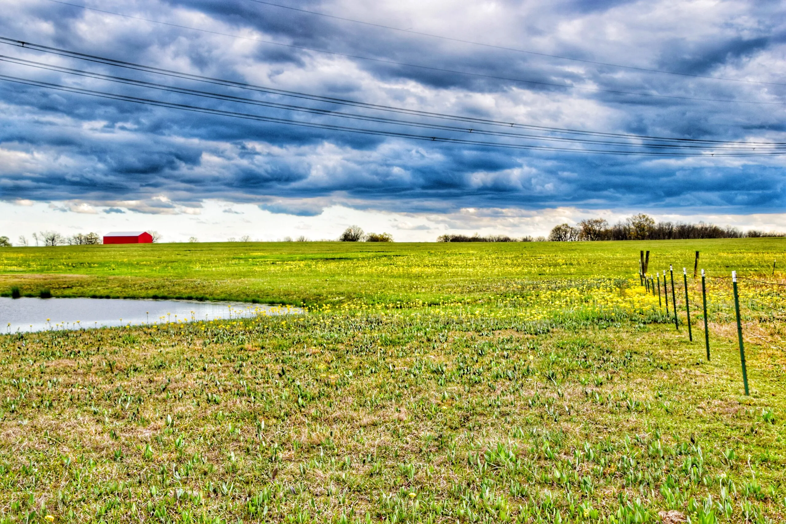 Different Types Of Land Auctions National Land Realty News