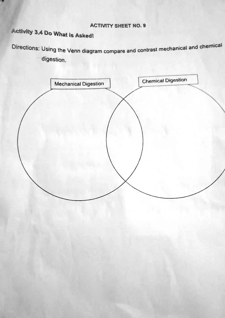 Directions Using The Venn Diagram Compare And Contrast Mechanical And Chemical Digestion