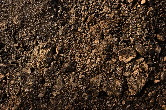 Dirt Definition Information And Related Tags