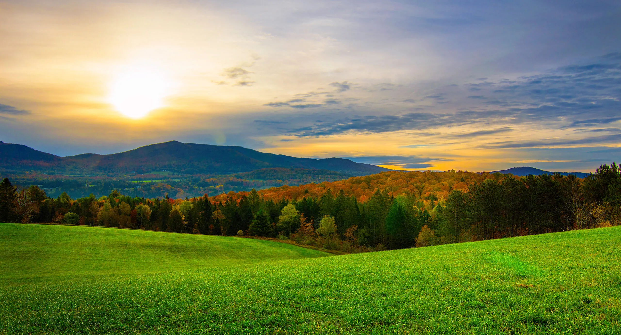 Do You Need A Land Professional National Land Realty News
