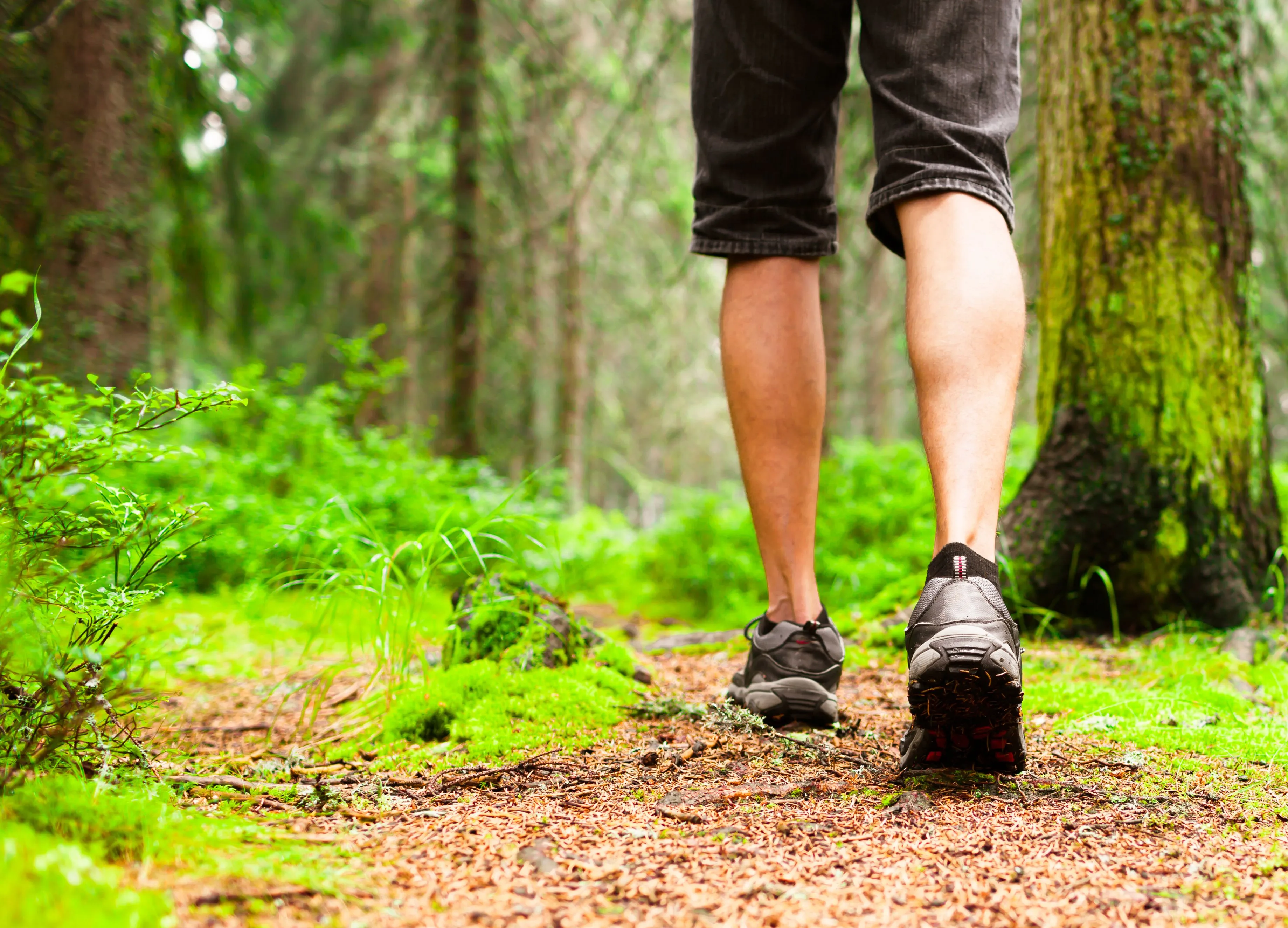 Do You Really Know How To Walk