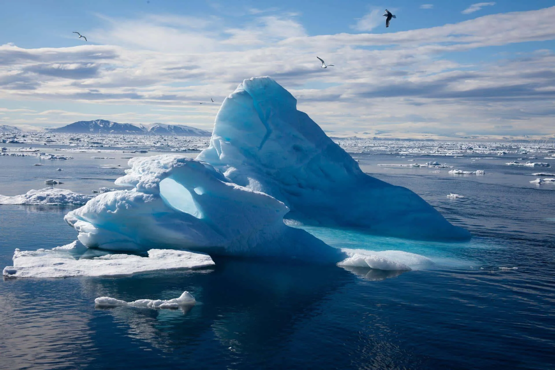 Download Arctic Background