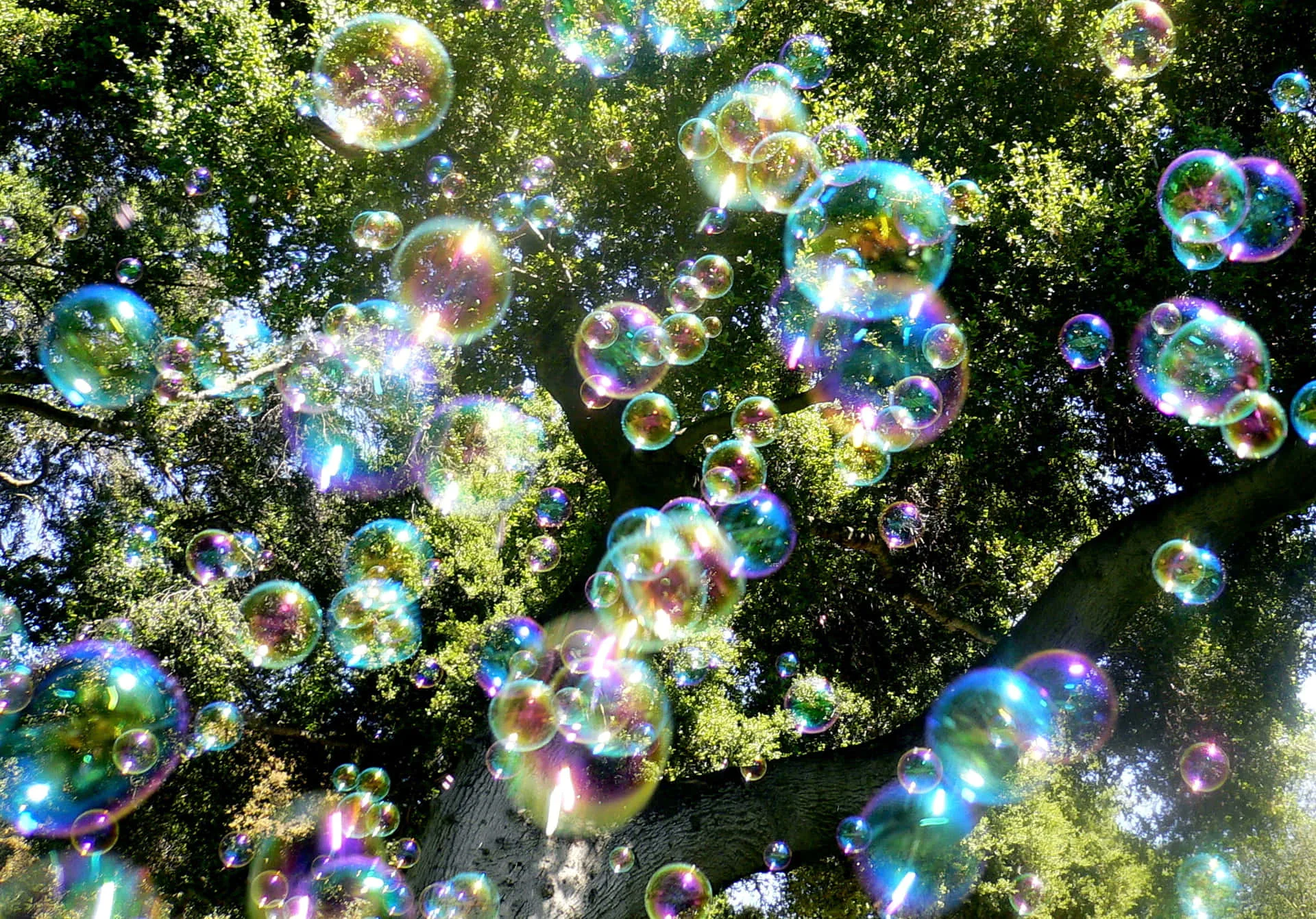 Download Bubble Background Many Floating Colorful Bubbles