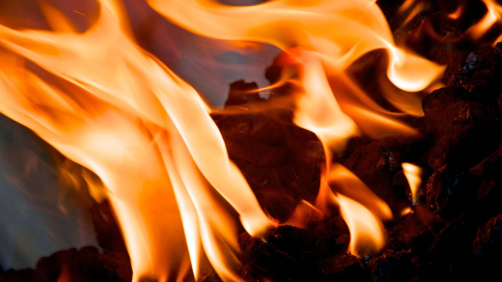 Download Fire Leaves Heat Wallpaper