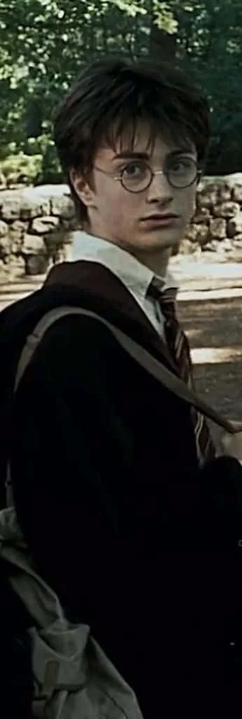 Download The Magical World Of Harry Potter