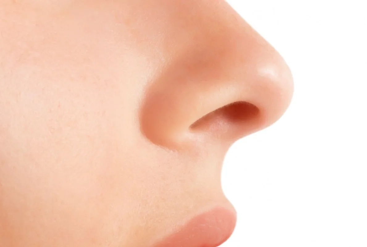 Dr Elan S Ent Ear Nose And Throat Specialist Make An Appointment