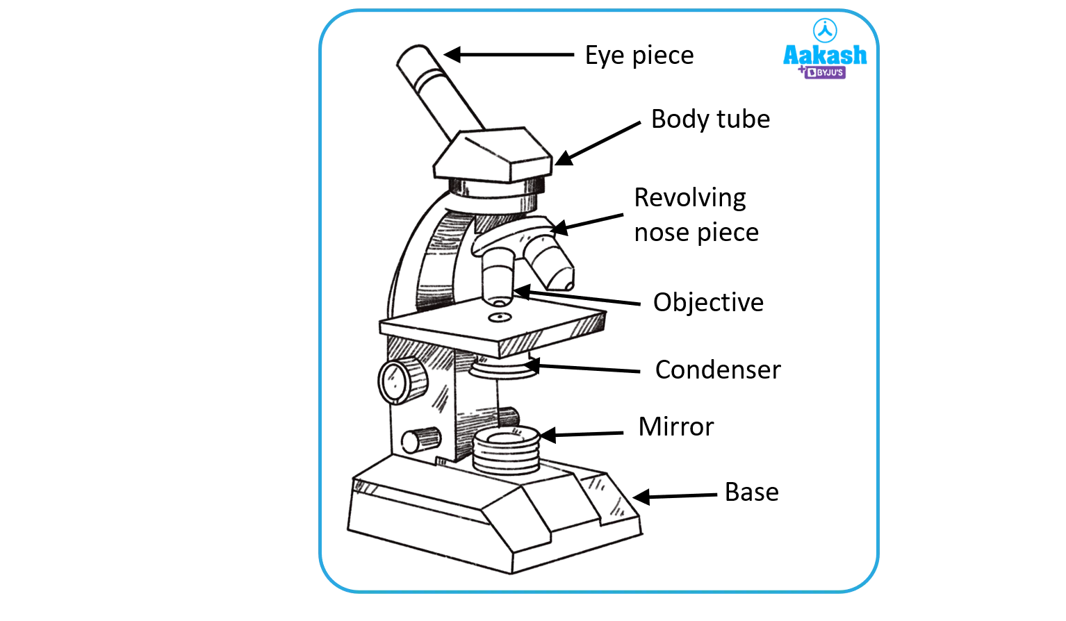 Draw A Labelled Diagram Of Compound Microscope At James Northern Blog