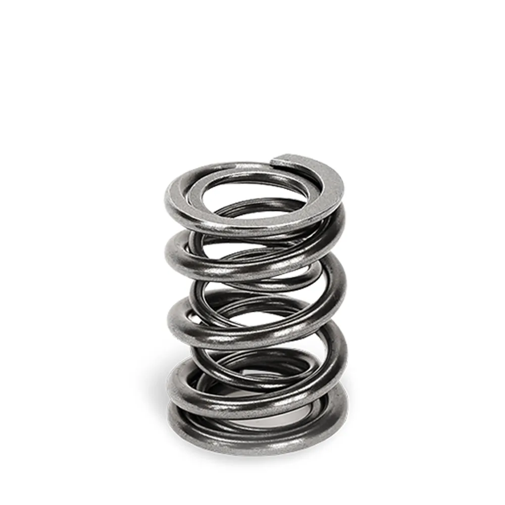 Dual Valve Springs