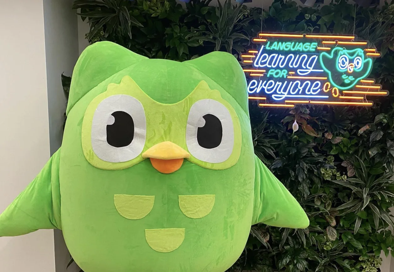 Duolingo Owl