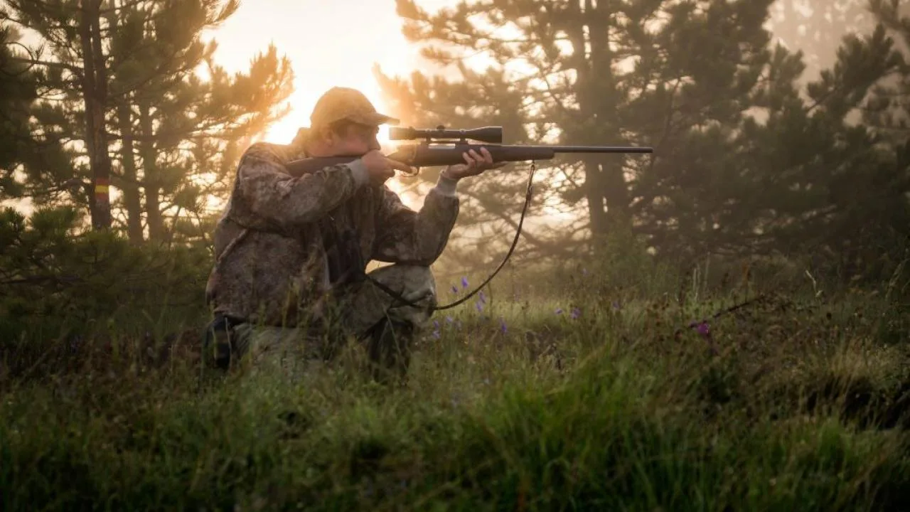 Easy Ways Of Becoming An Expert Hunter My Press Plus