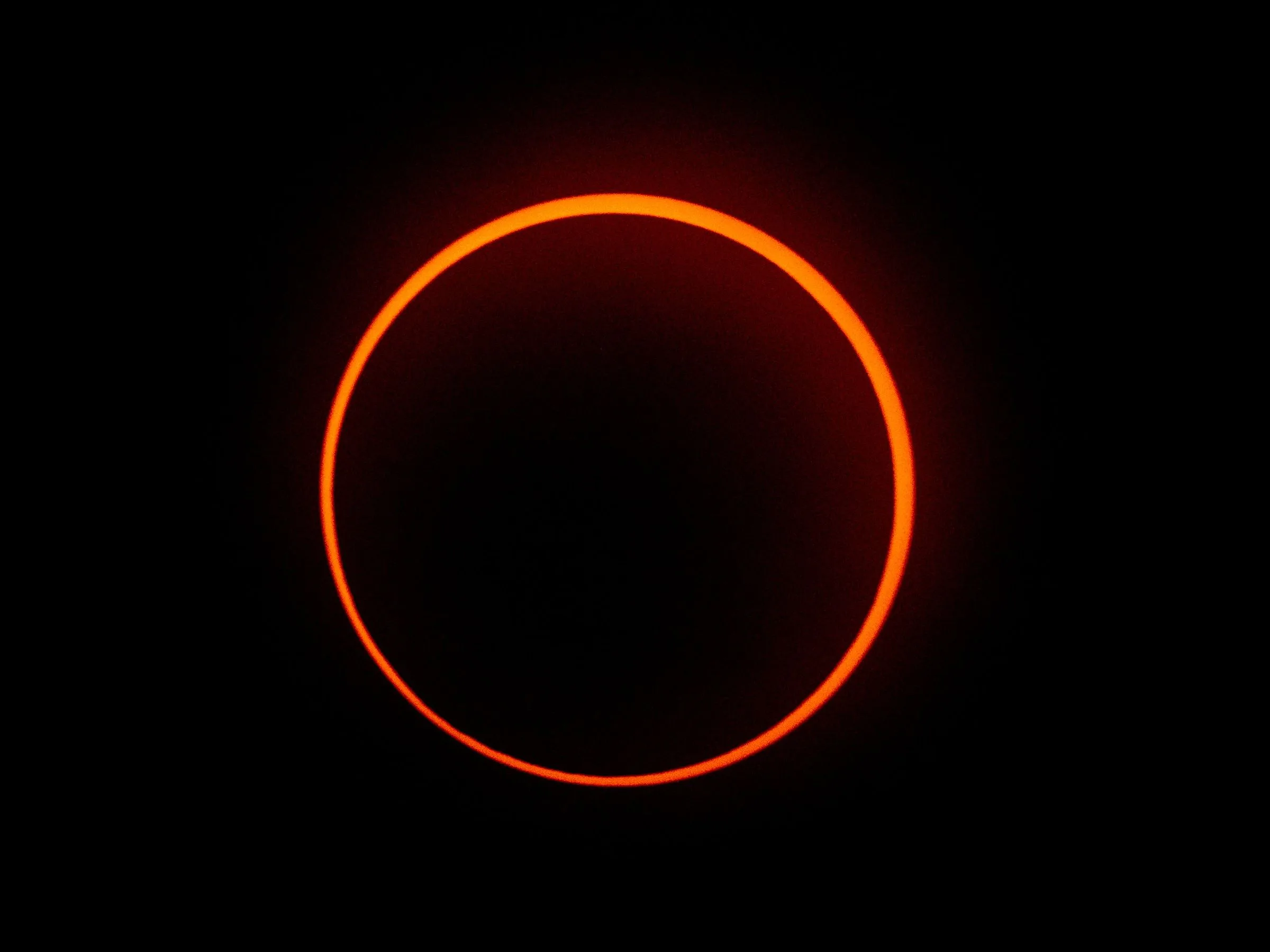 Eclipse Live 2024 Hedy Ralina