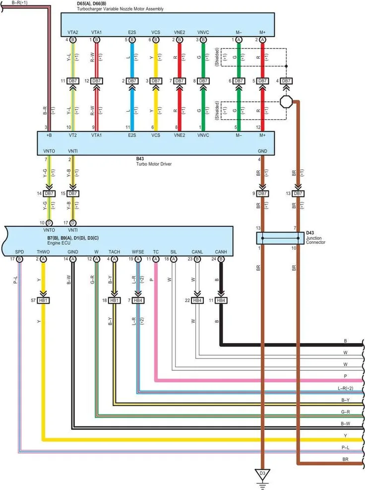 Ecm Motor Wiring Diagram
