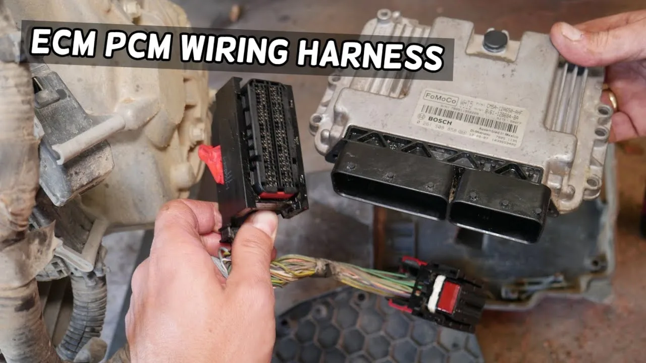 Ecm Wire Harness Diagram For 4 6 Ford Engine
