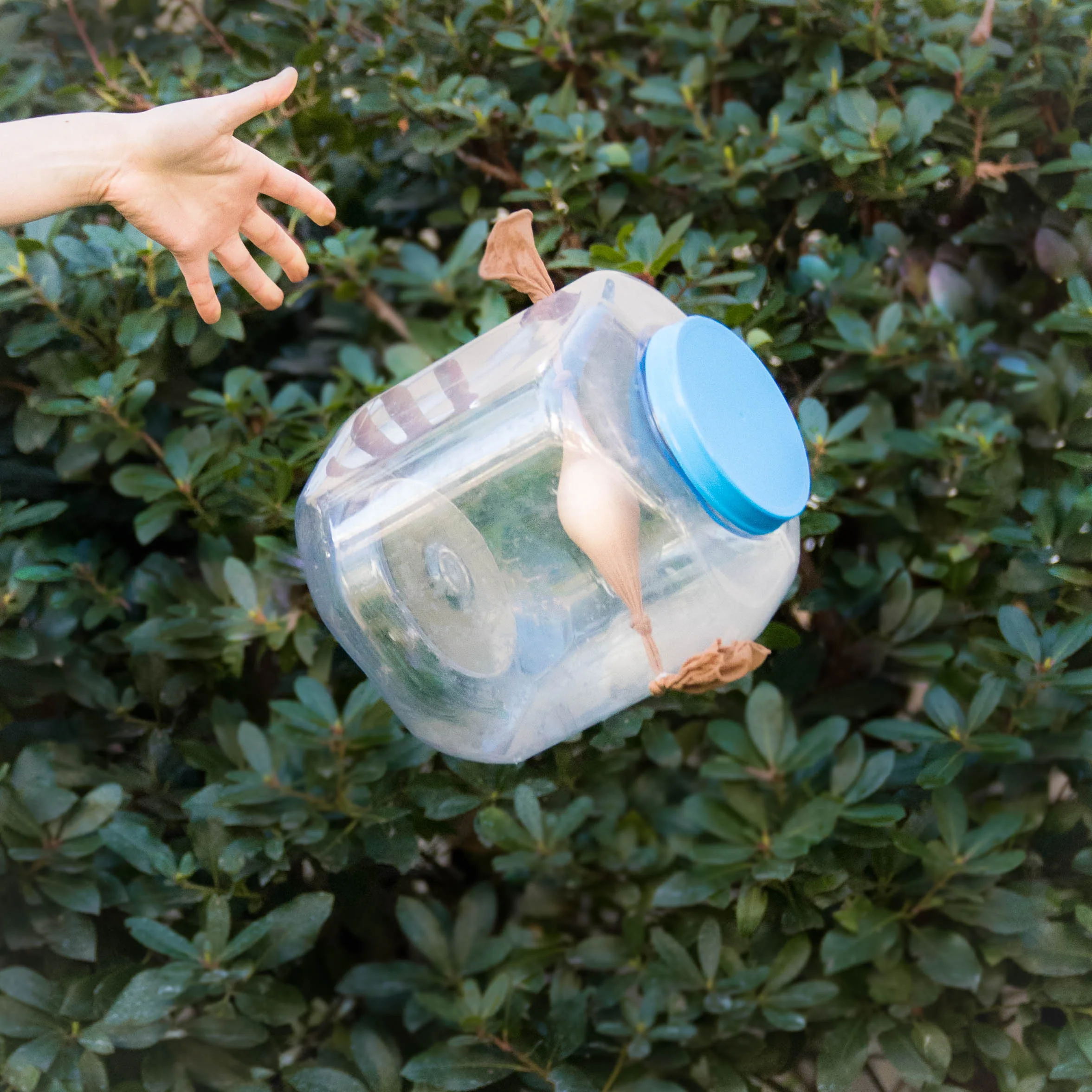 Egg Drop Project Diy For Beginners Kiwico