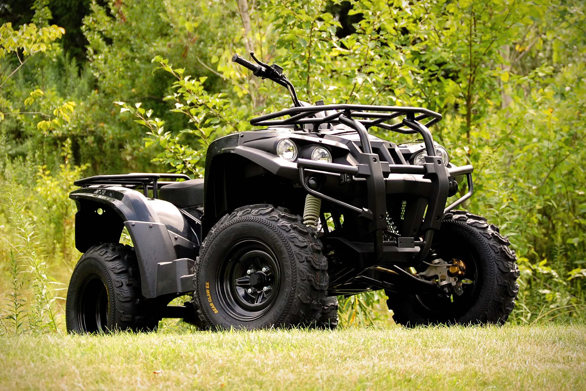 Electric Atv Utility Vehicles Orly Orelie