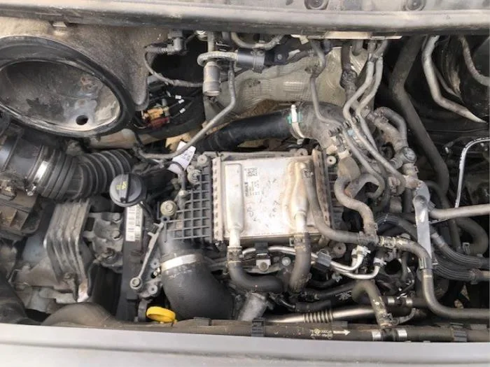 Engine Volkswagen Crafter 2 0 Tdi Fwd 65005046002 Daua