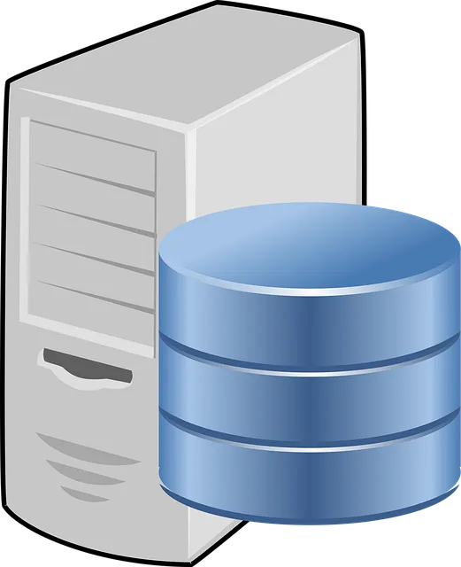 Equipo Base De Datos Red Gráficos Vectoriales Gratis En Pixabay