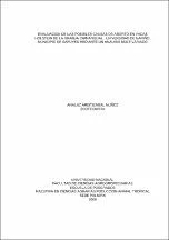 Evaluación De Las Posibles Causas De Aborto En Vacas Holstein De La Granja Chimangual