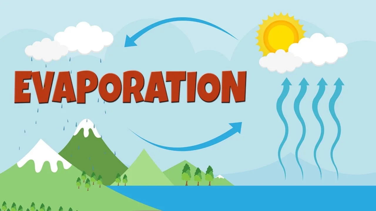 Evaporation Definition For Kids Can You Explain The Processes Of