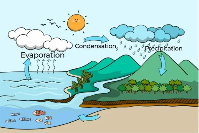 Evaporation Geeksforgeeks