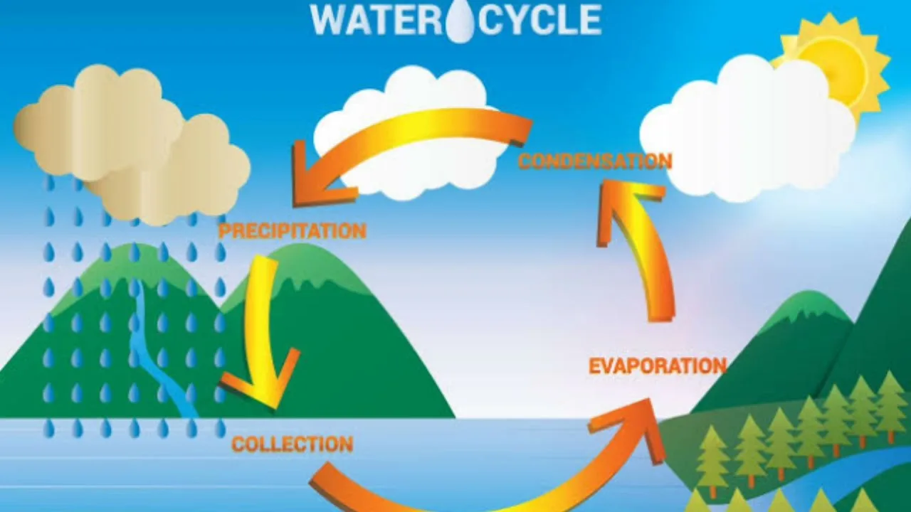 Evaporation In The Water Cycle