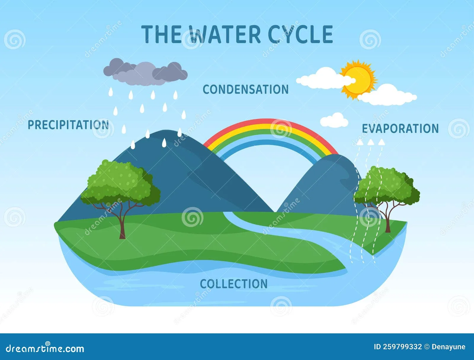 Evaporation In The Water Cycle Is Most Affected By At Elaine Smith Blog