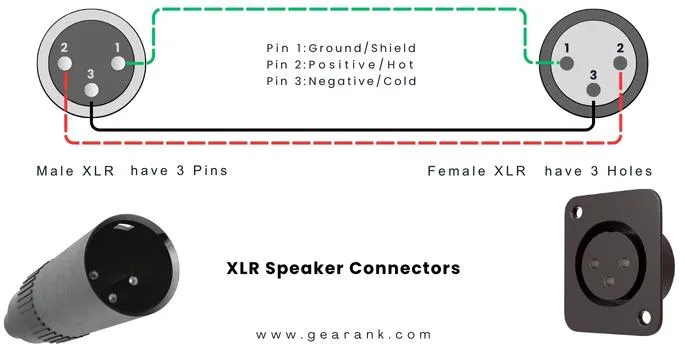 Everything You Need To Know About Speaker Connector Types