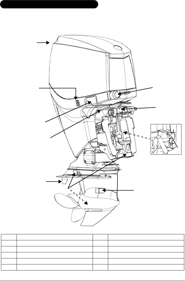 Evinrude E Tec Parts Diagram Evinrude Etec Wiring Diagram