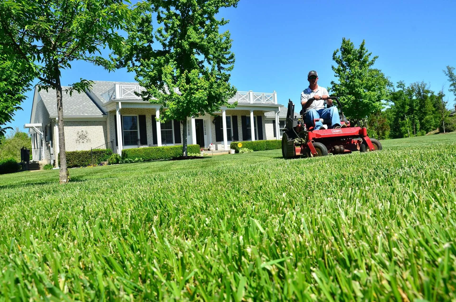 Expert Lawn Care Tips For A Healthier Beautiful Yard