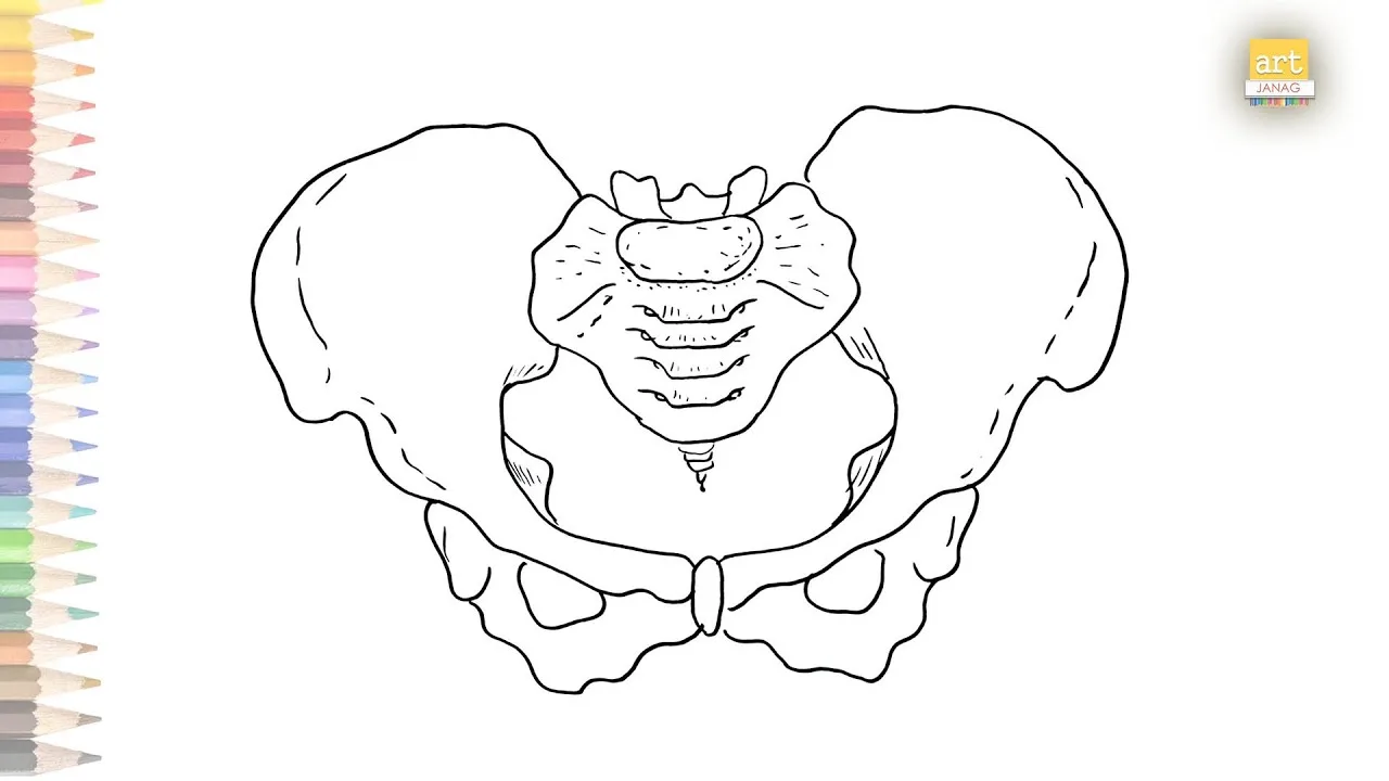 Extrarenal Pelvis Diagram