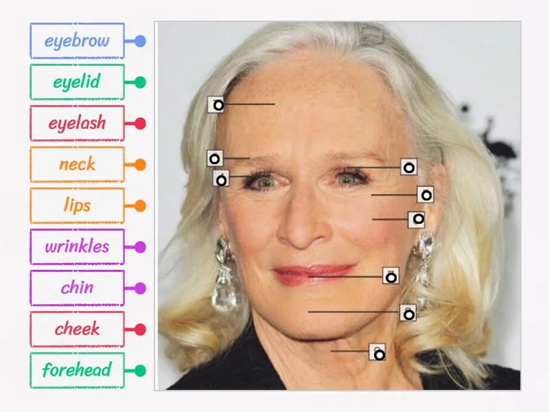 Face Labelled Diagram