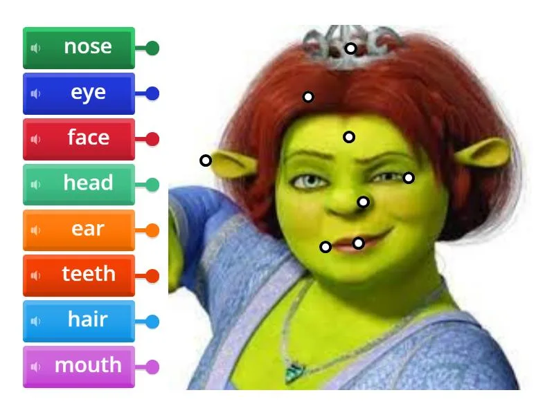 Face Labelled Diagram