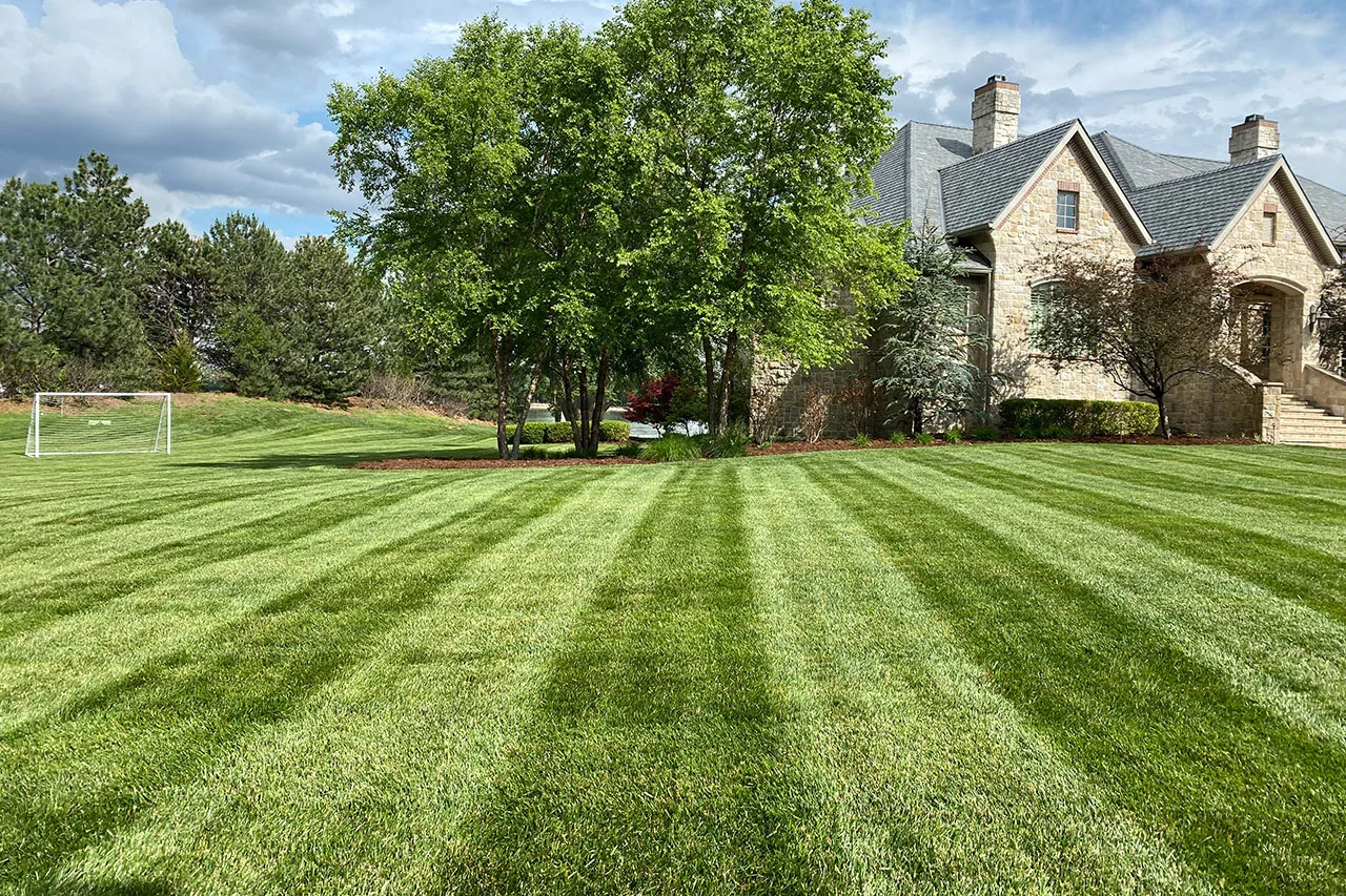 Fall Lawn Care Checklist 8 Tasks For A Healthy Lawn
