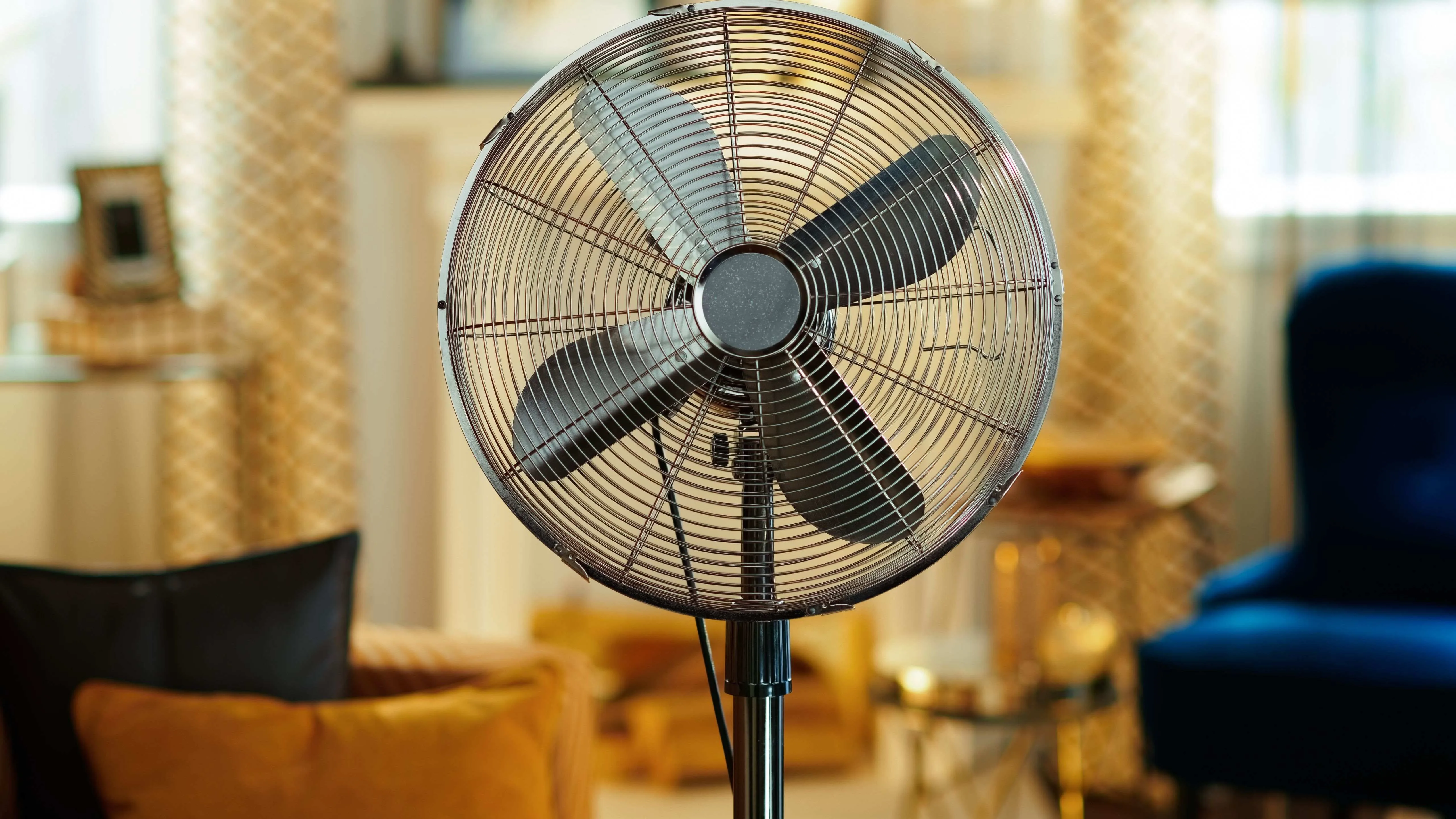 Fan Buying Guide