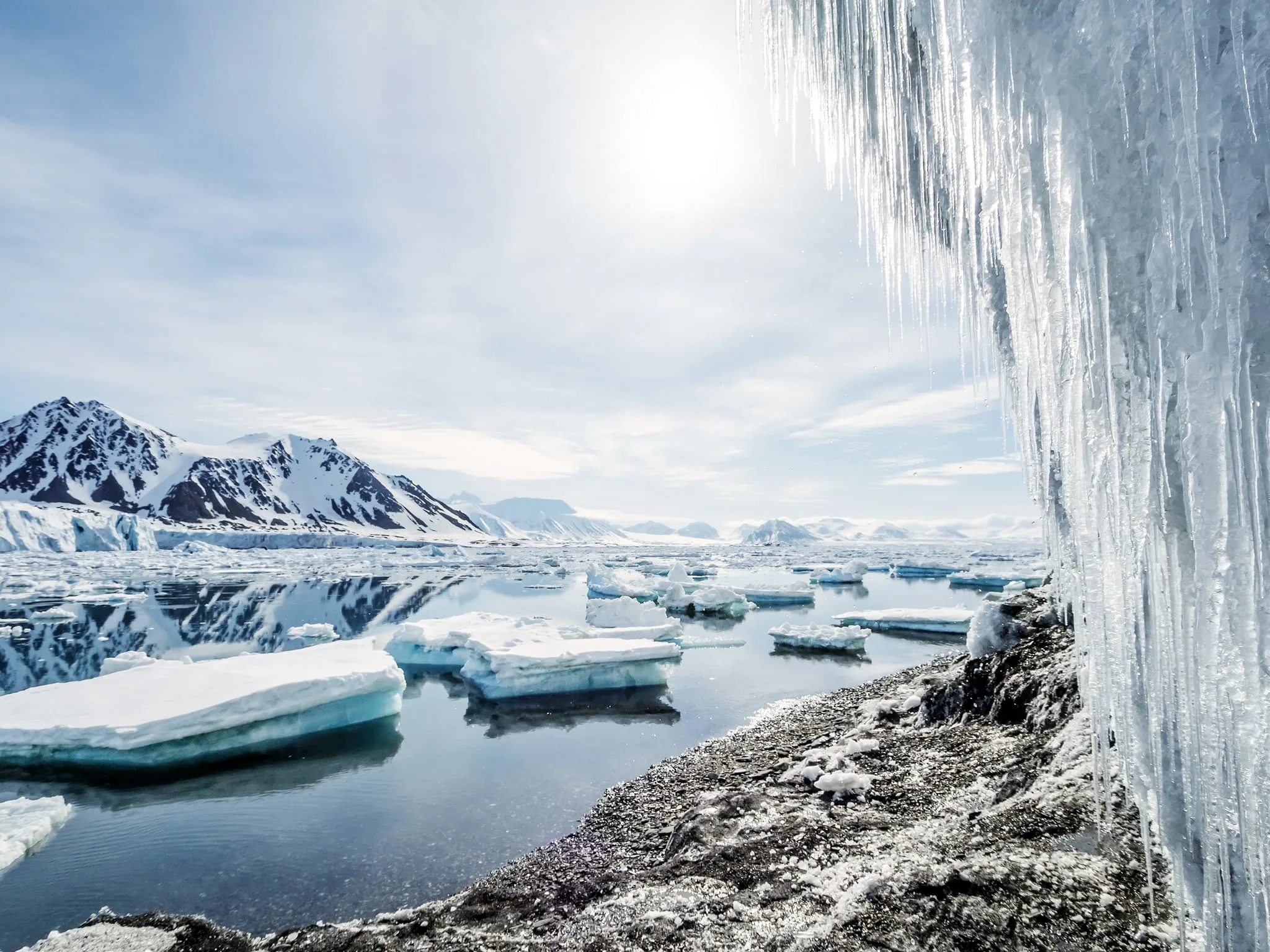 Fascinating Facts About The Arctic Viking Cruises Top 10 Guidesviking Cruises Top 10 Guides
