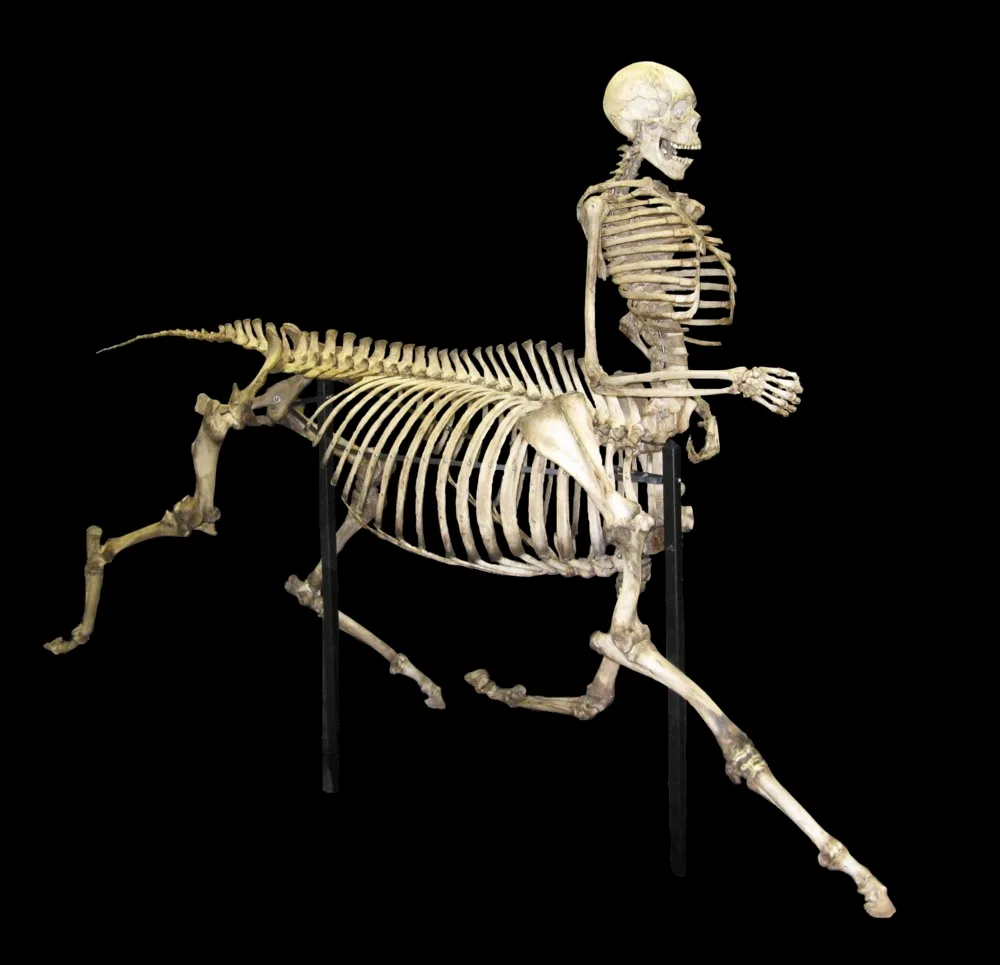 File Centaur Wikimedia Commons